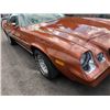 Image 2 : 1980 CHEVROLET CAMARO BERLINETTA