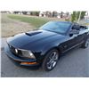 Image 1 : 2008 MUSTANG GT