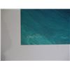Image 8 : Pair Wood Framed Big Wave Photos Signed Hank Foto 28"x22"