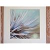 Image 8 : Qty 3 Framed Ocean Artwork: 2 Coral & Surfboard by Hank Foto 20"x20"