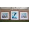Image 1 : Qty 3 Framed Ocean Artwork: 2 Coral & Surfboard by Hank Foto 20"x20"