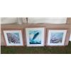Image 1 : Qty 3 Framed Ocean Artwork: 2 Coral & Surfboard by Hank Foto 20"x20"