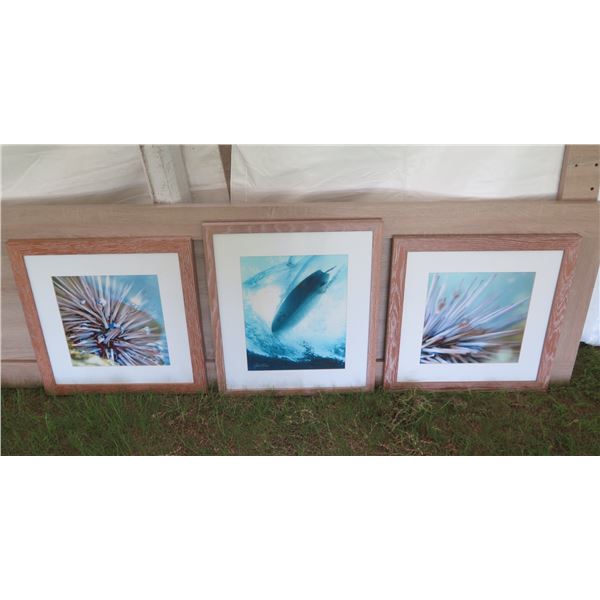 Qty 3 Framed Ocean Artwork: 2 Coral & Surfboard by Hank Foto 20"x20"