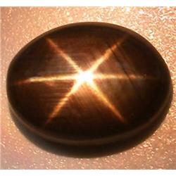 1.59ct. 6 Ray Black Natural Star Sapphire Oval RETAIL $700 (GEM-2857)