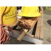 Image 8 : Pallet Echo CS-400 Chain Saw, Floor Muffler, Stakes, Safety Equipment. Hose, Hardware, etc