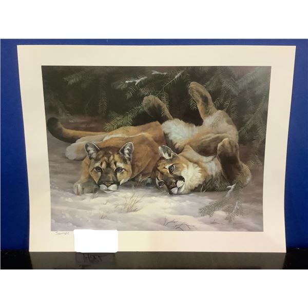 D. Jeminie -  Cougars in the Wild  - Rare - Sample Print
