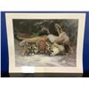 Image 1 : D. Jeminie - "Cougars in the Wild" - Rare - Sample Print