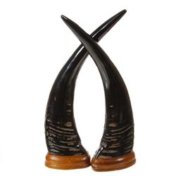 Water Buffalo Horn Pair (CLB-136)