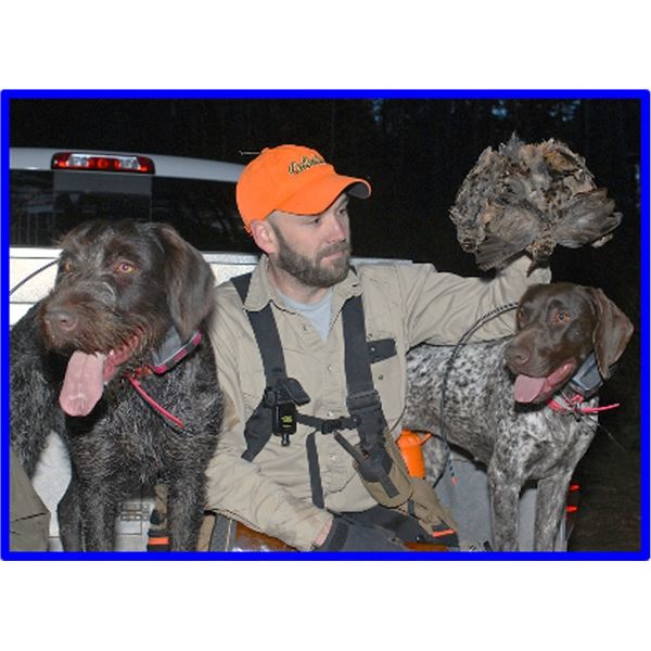 East Texas Guided Woodcock Hunt for 1 or 2