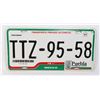 Image 1 : #635 MEXICO PUELBLA STATE TTZ-95-58 LICENSE