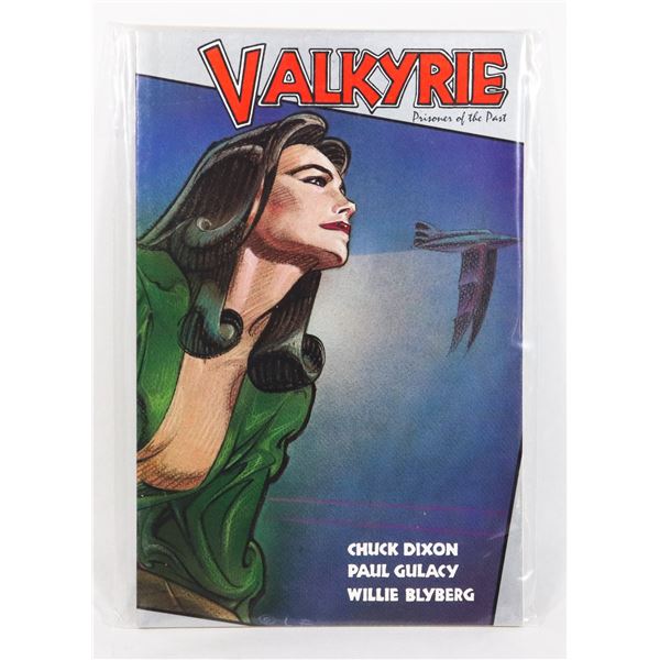 #1194 ECLIPSE BOOKS COMIC VALKYRIE PRISONER