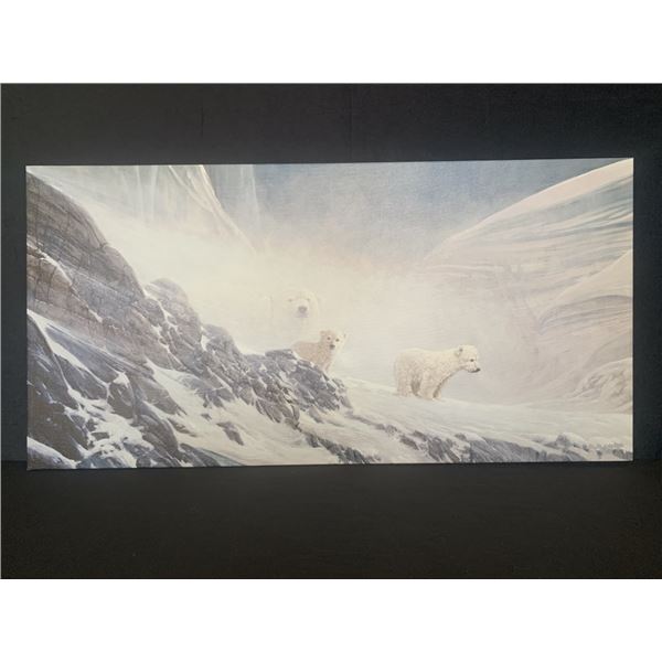 Doug Laird's "Arctic Pearls" Open Edition Canvas