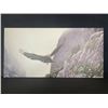 Image 1 : Doug Laird's "From the Mist" Open Edition Canvas