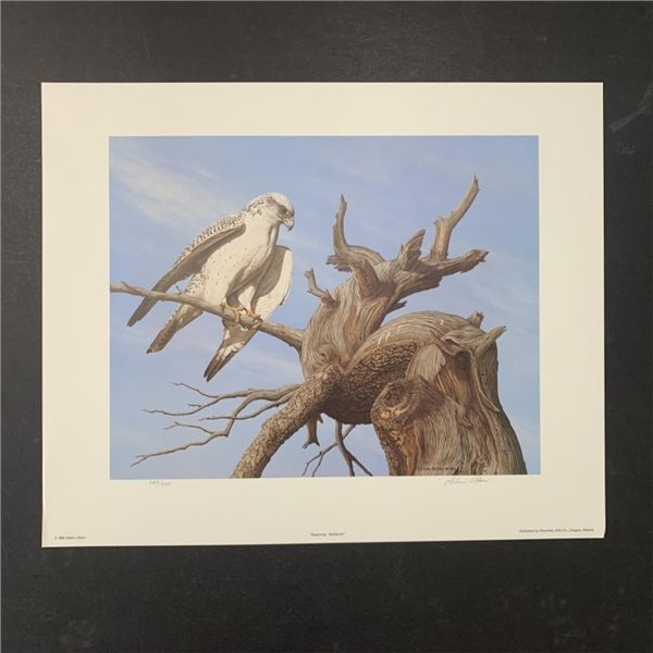Glenn Olson's "Scanning - Gyrfalcon" Limited Edition Print