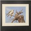 Image 1 : Glenn Olson's "Scanning - Gyrfalcon" Limited Edition Print