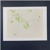 Image 1 : Jon D'Orazio's "Apple Blossoms" Limited Edition Print