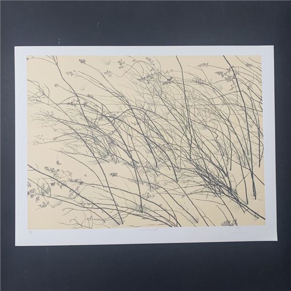 Jon D'Orazio's "Windswept" Limited Edition Print