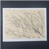 Image 1 : Jon D'Orazio's "Windswept" Limited Edition Print