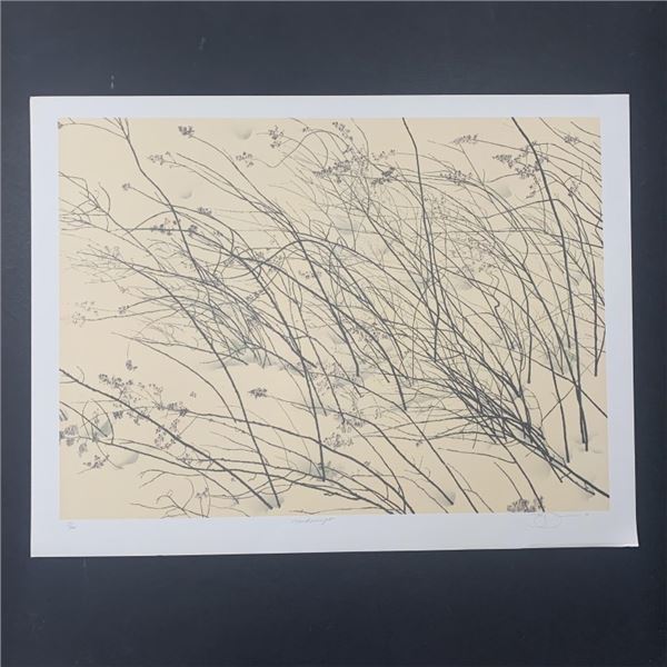 Jon D'Orazio's "Windswept" Limited Edition Print