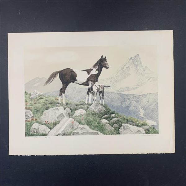 Mel Hunter's "Pinto" Limited Edition Print