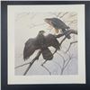 Image 3 : Michael Dumas's "Cooper's Hawk" Limited Edition Prints