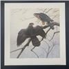 Image 4 : Michael Dumas's "Cooper's Hawk" Limited Edition Prints