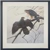 Image 5 : Michael Dumas's "Cooper's Hawk" Limited Edition Prints