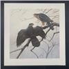Image 6 : Michael Dumas's "Cooper's Hawk" Limited Edition Prints