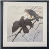 Image 8 : Michael Dumas's "Cooper's Hawk" Limited Edition Prints