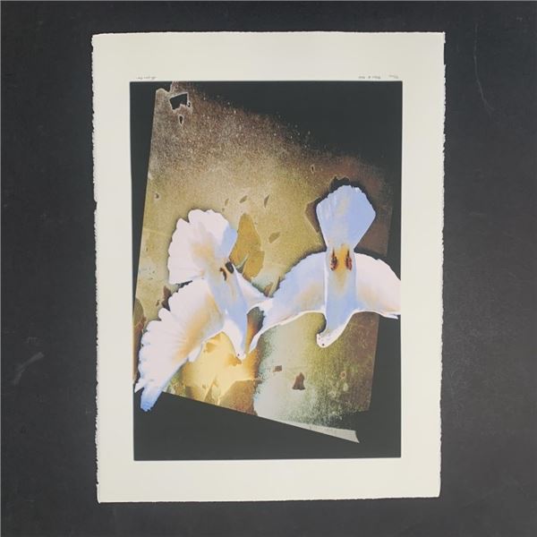 Michael Knigin's "Patch of Gold" Limited Edition Print