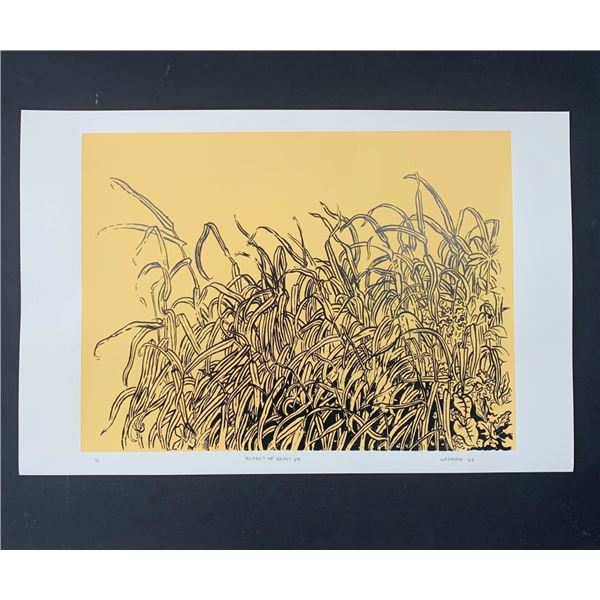Richard Wagman's "Blades of Grass '69" Limited Edition Print