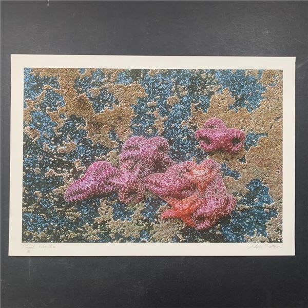 Stephen Patterson's "Primal Elements" Limited Edition Print