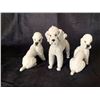 Image 7 : Goebel and Rosenthal Porcelain Poodle Figurines