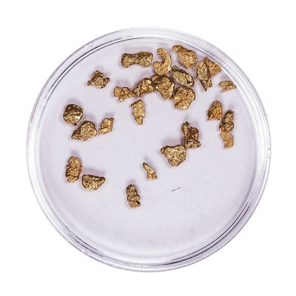 Lot of Gold Nuggets 1.70 Grams Total Weight