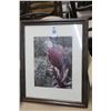 Image 1 : Framed Bald Eagle Print - 23" x 19"