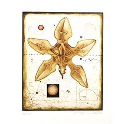 Tighe O'Donoghue, Flower, Etching with Aquatint 