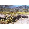 Image 1 : Edson Newquist, Desert Spring, Giclee