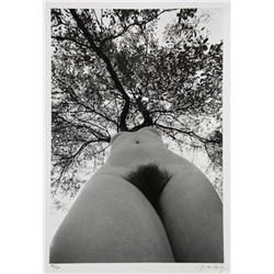 Lucien Clergue, Nude #8, Photograph