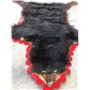 Image 2 : Black Bear Skin Rug