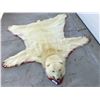 Image 1 : Authentic Polar Bear Rug