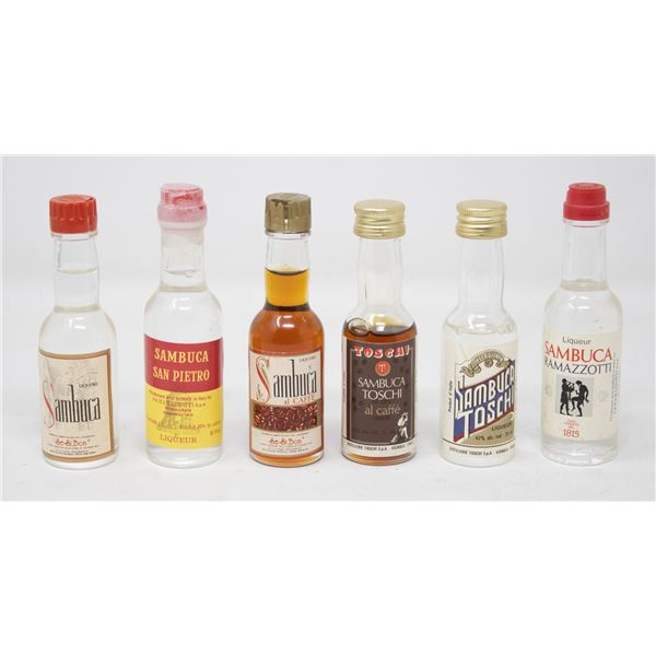 SAMBUCA (50 ML,25%)