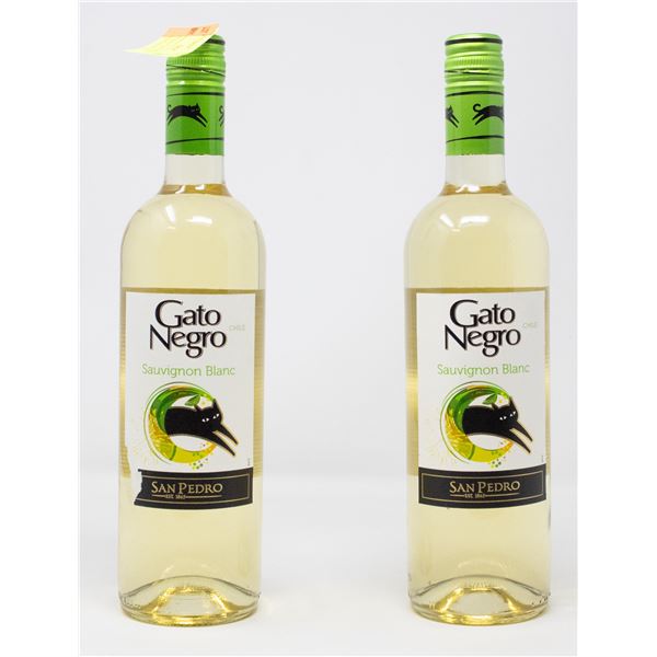 2 BOTTLES OF GATO NEGRO SAUVIGNON BLANC 2020
