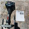 Image 2 : TROYBILT WEEDEATER