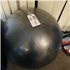 Image 1 : EXERCISE BALL