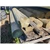 Image 4 : LOT OF 16' ROUGH CUT LUMBER AND POLES