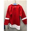 Image 2 : Youth Detroit Red wings Jersey L/XL