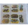 Image 2 : Animals tobacco tray cards