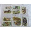 Image 3 : Animals tobacco tray cards