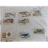 Image 2 : British birds tobacco tray cards