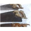 Image 3 : (3) vintage wood saws